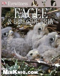1318110365_eagles-and-birds-of-prey-dk-eyewitness-books_mirknig.com.jpg