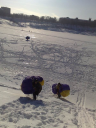07022010420.jpg